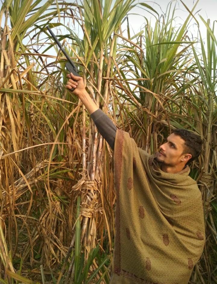 The photo of the young man for social media on social media went viral