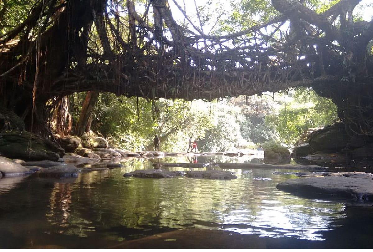 mawlynnong meghalaya asia cleanest village