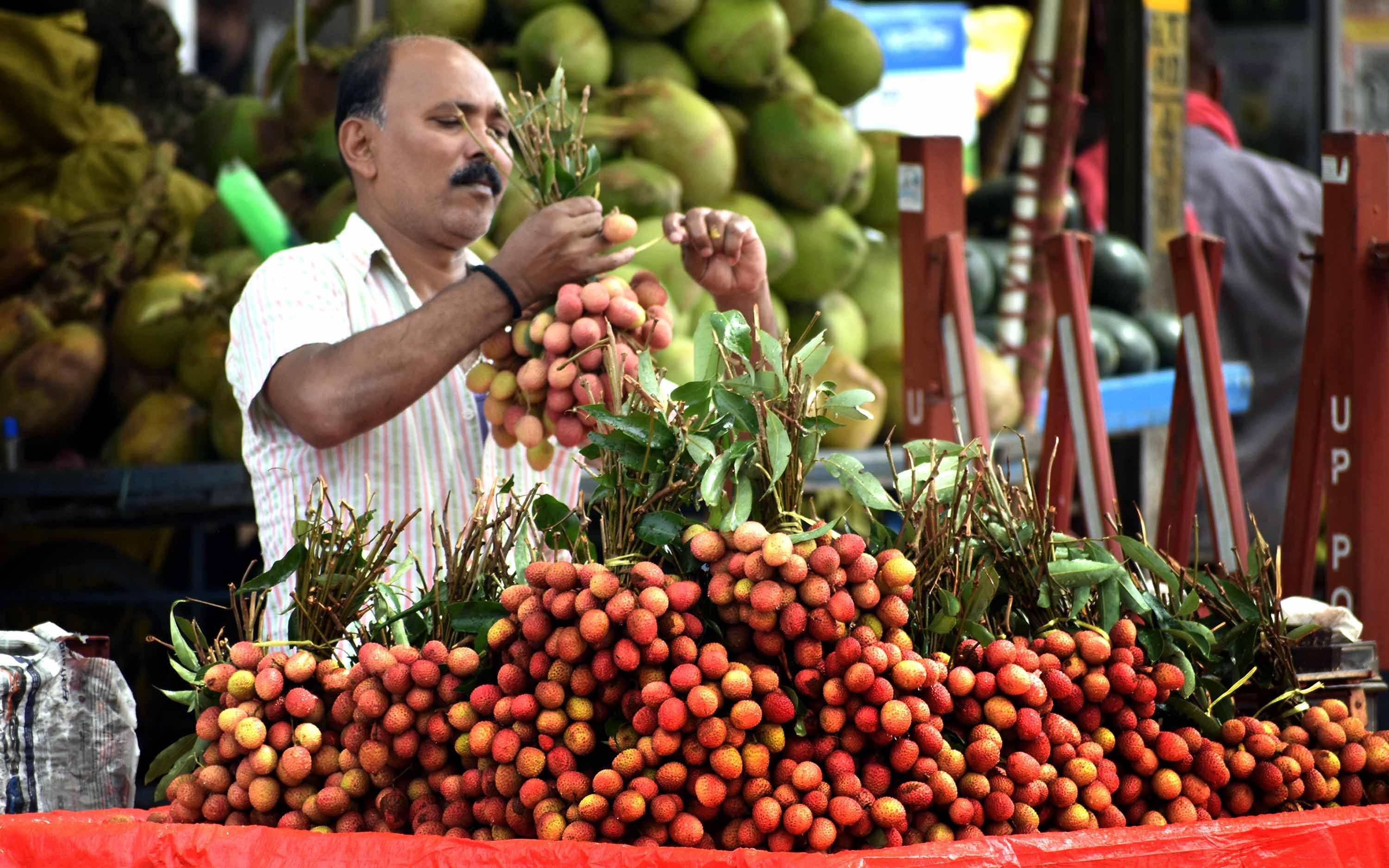 prayagraj News: Sangmanagri migrant workers stuck in the direction of life