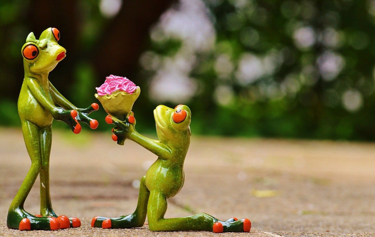 What is The Smart and Creative Way to Say Sorry What to do when You are apologize How do you feel Apology