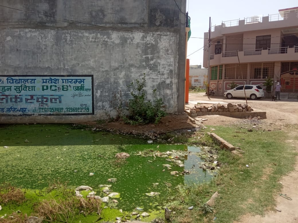 Jugpura colony dirty all ward people disturb
