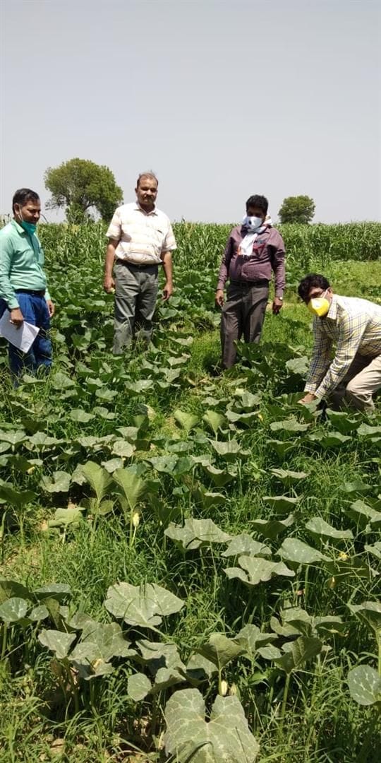 Hathras: Divisional officials visited the fields to know the condition of the crop