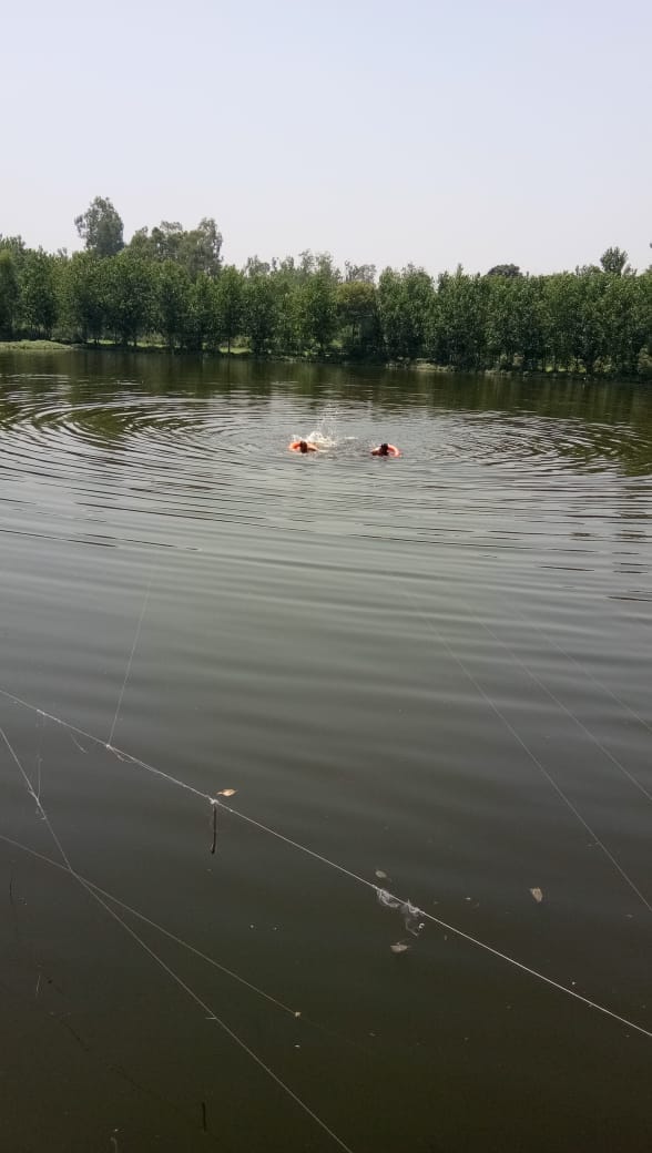 The villager who went to bathe the animals died due to drowning in the pond