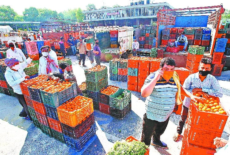 Lockdown, Coronavirus, Migrant Workers Left Chandigarh, Side Effect on Loading Unloading