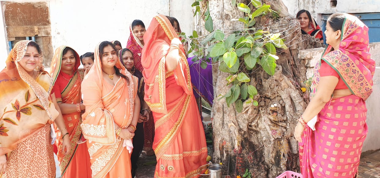 vat, amavasya, devoty, woman, puja. mathura