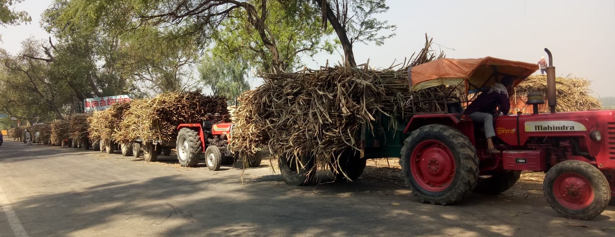 worred to close the mill, so farmeres reached with more sugercane