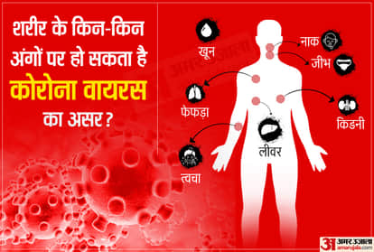 coronavirus impact on body