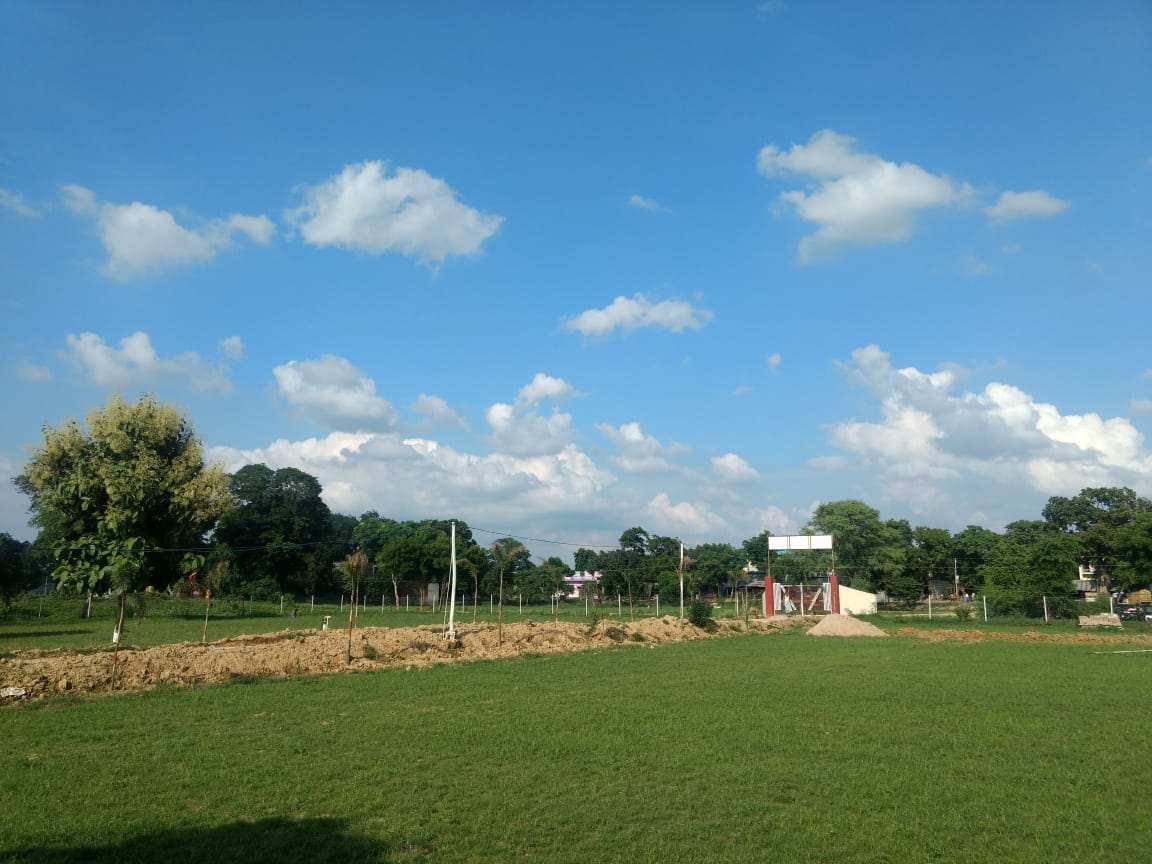 organic farming benefits new future of agriculture in india