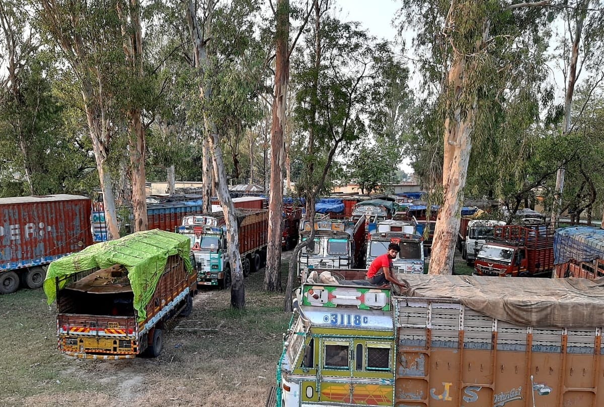 84 carts carrying migrant laborers seized