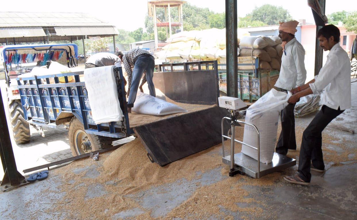 wheat selling slow