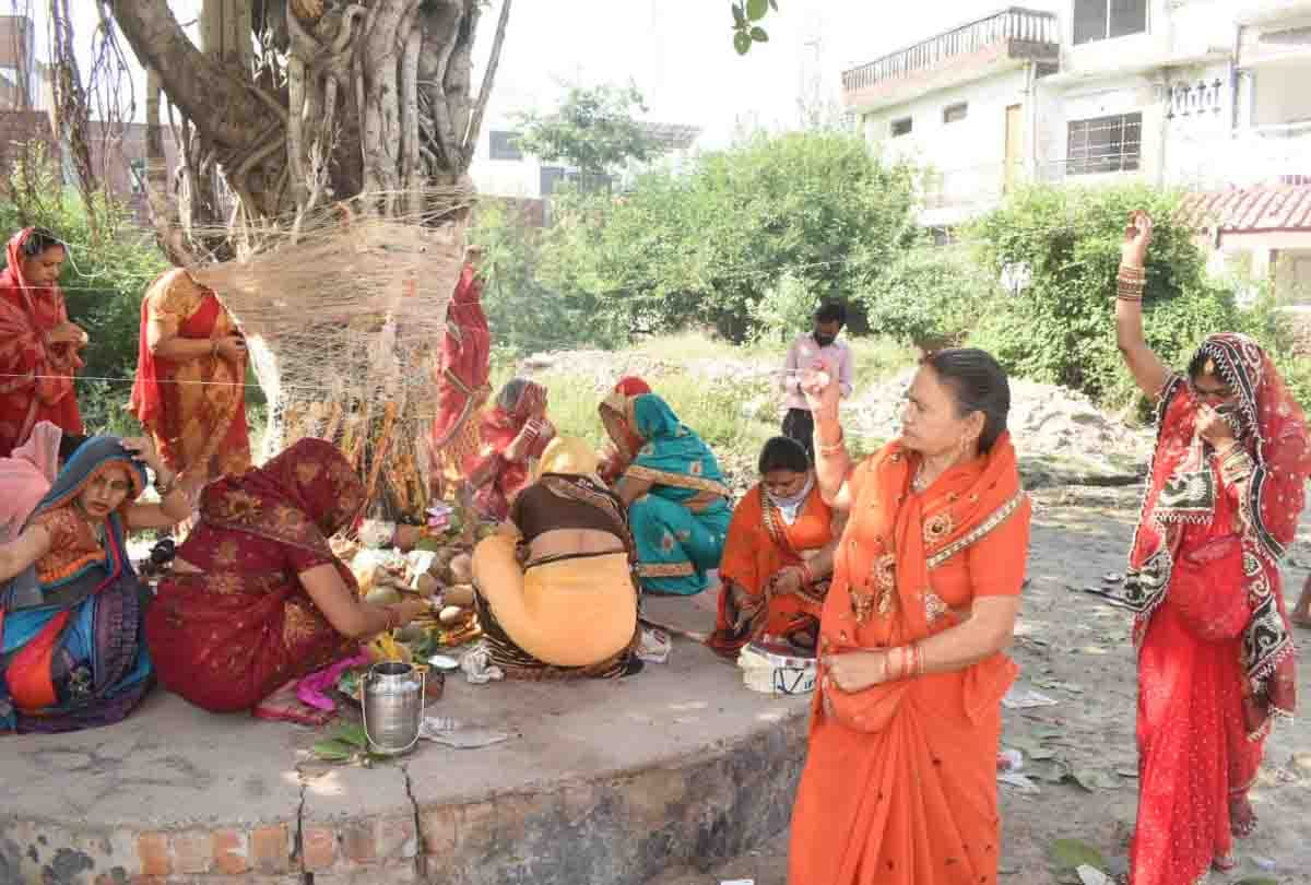 Vat Savitri Vrat festival celebrated on Friday