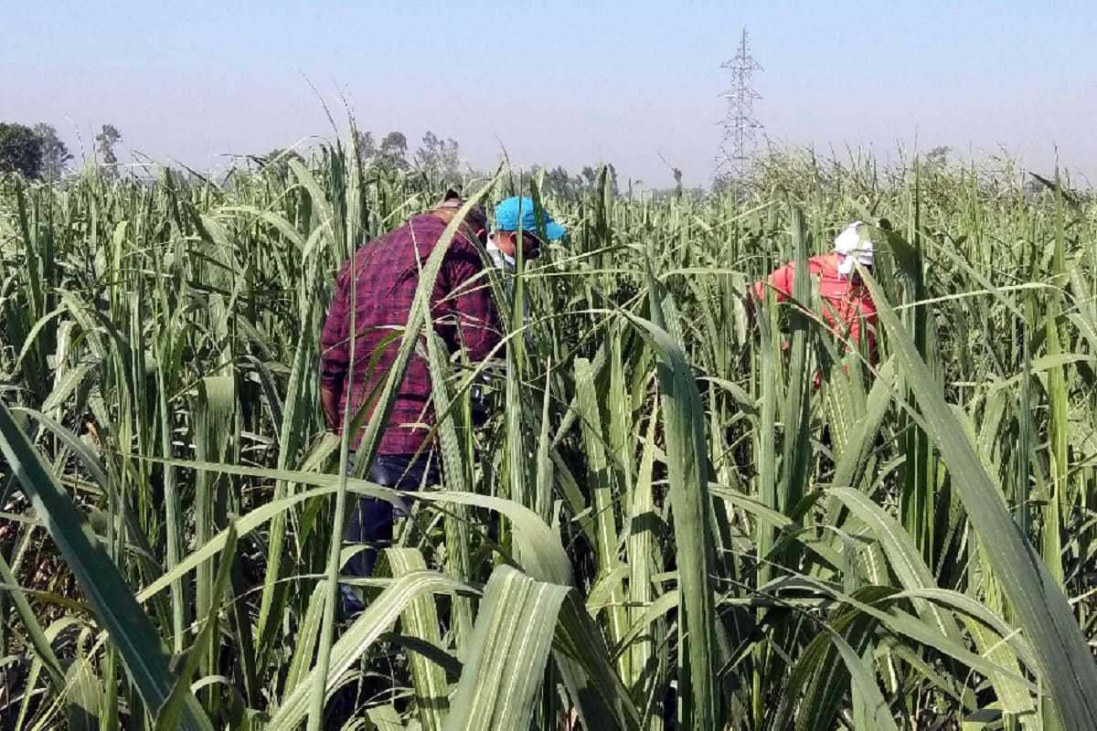 Police has not found any evidence in the murder of two young women in Shamli