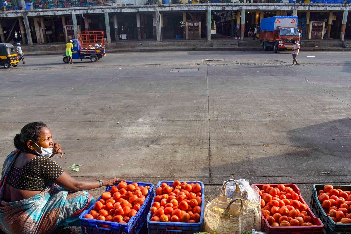 Tomato prices at three year low in wholesale markets of Delhi Hyderabad and Bengaluru