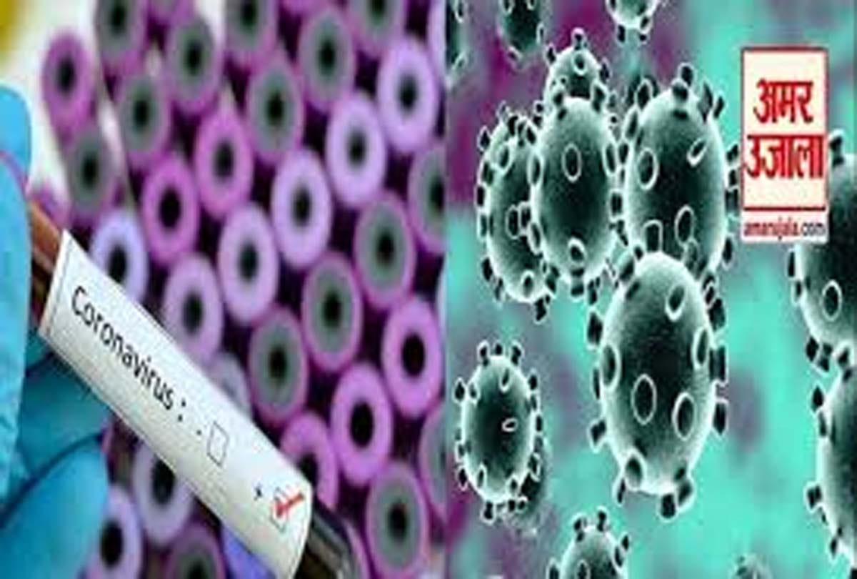 coronavirus in etawah: two more corona patients found in etawah, 39 infected