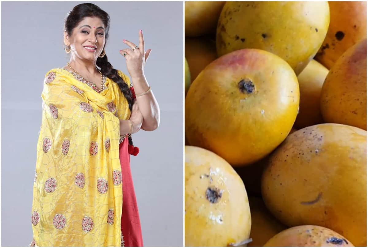 Archana Puran Singh Share Video of Mangos From her Garden Organic Alfanso