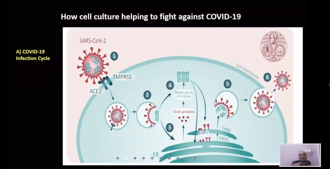 IIMT students are aware of cell culture in webinaar.