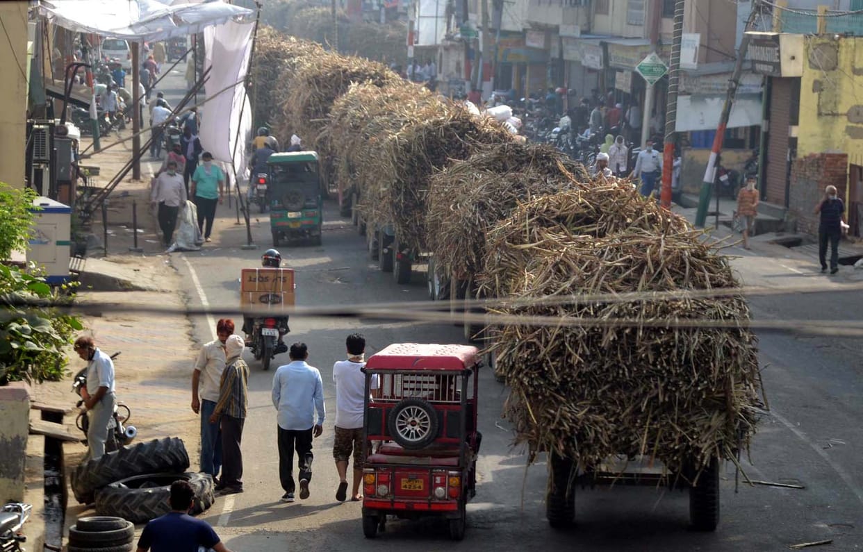 Sugarcane-laden vehicles line the streets