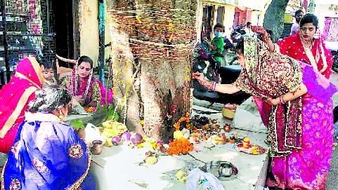 Worshiped for lavish after worshiping Vat Savitri