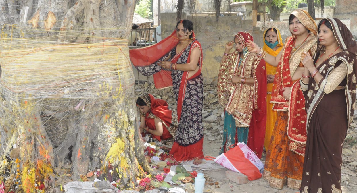 Suhagins worshiped Vatavriksha, asked for a vow