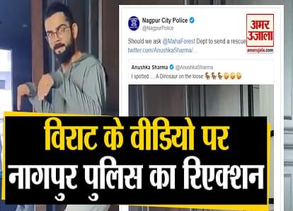 nagpur police tweet on dinosaur video of virat kohli anushka sharma
