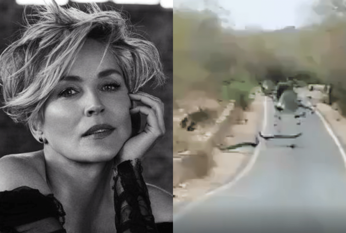 hollywood actress sharon stone shares rajasthan peacocks dance video tourism minister vishvendra singh invite her