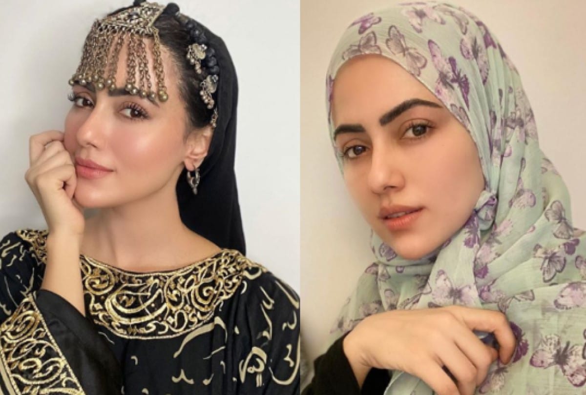 Sana Khan Gets marries Mufti Anas All Her Controversies You Would Like to know