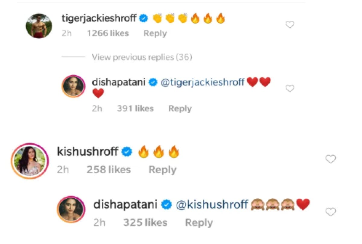 disha patani dance video on instagram tiger shroff comments