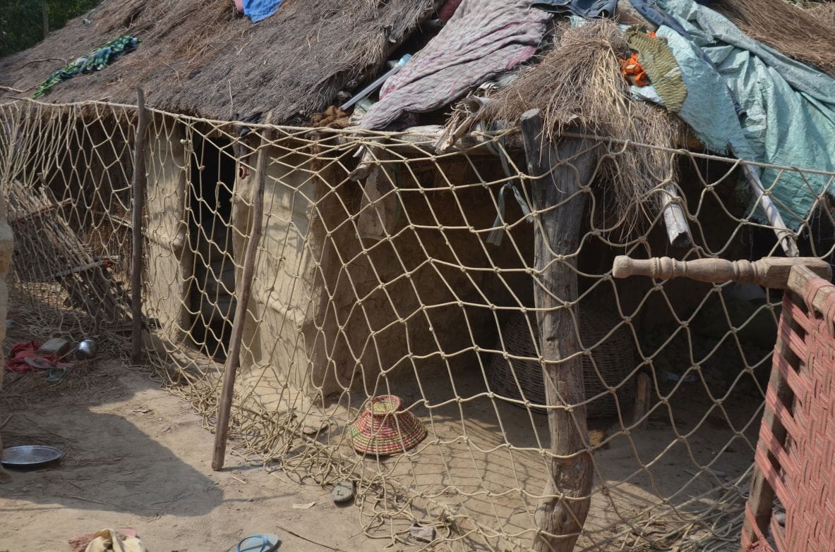 Leopard enters village, injures four villagers