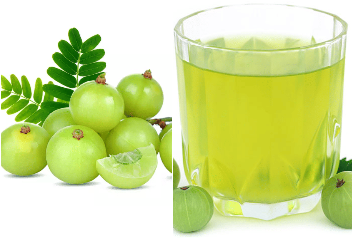 benefits of amla gooseberry advantages benefits in hindi immunity booster fruit in india amla health benefits importance