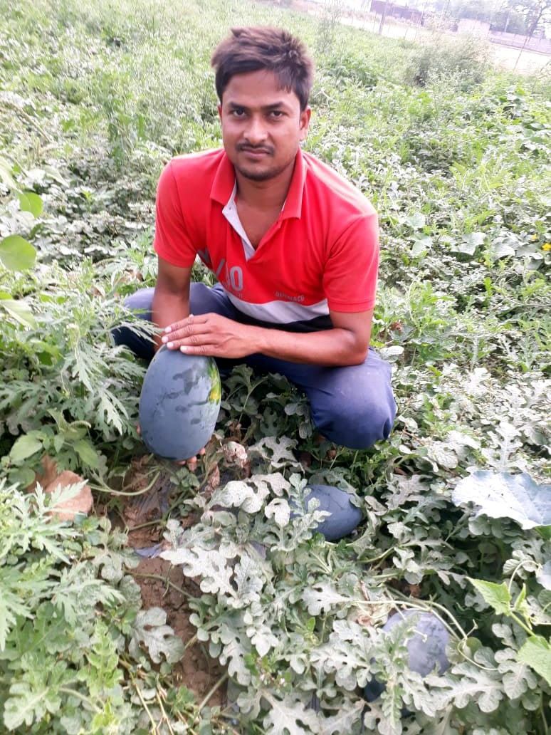 Earned profits by cultivating watermelon
