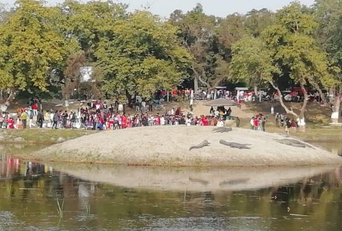 People live with Crocodile in Village of UP