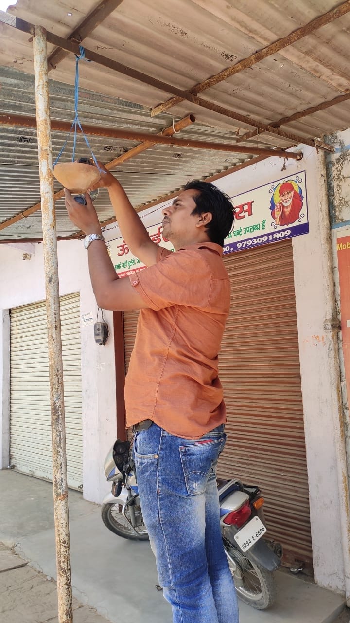 bird caring in hot summer