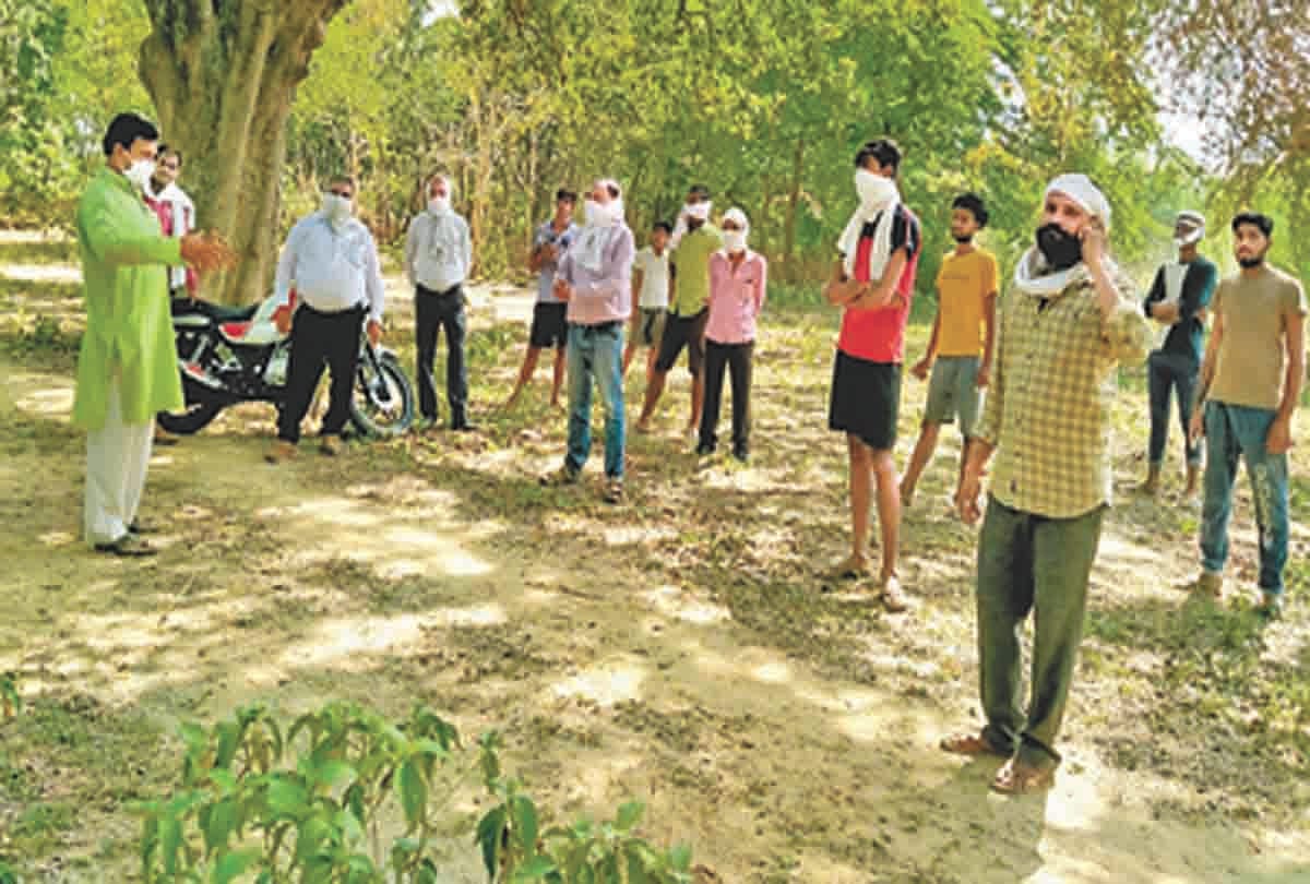 Leopard knocked down in Pratapgarh, hunted five animals