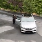 Bear tries to enter a Mercedes car