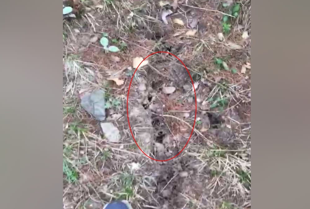 Big rift on naina peak and Pit on Road In nainital, public in fear , photos