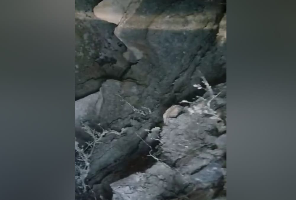 Big rift on naina peak and Pit on Road In nainital, public in fear , photos