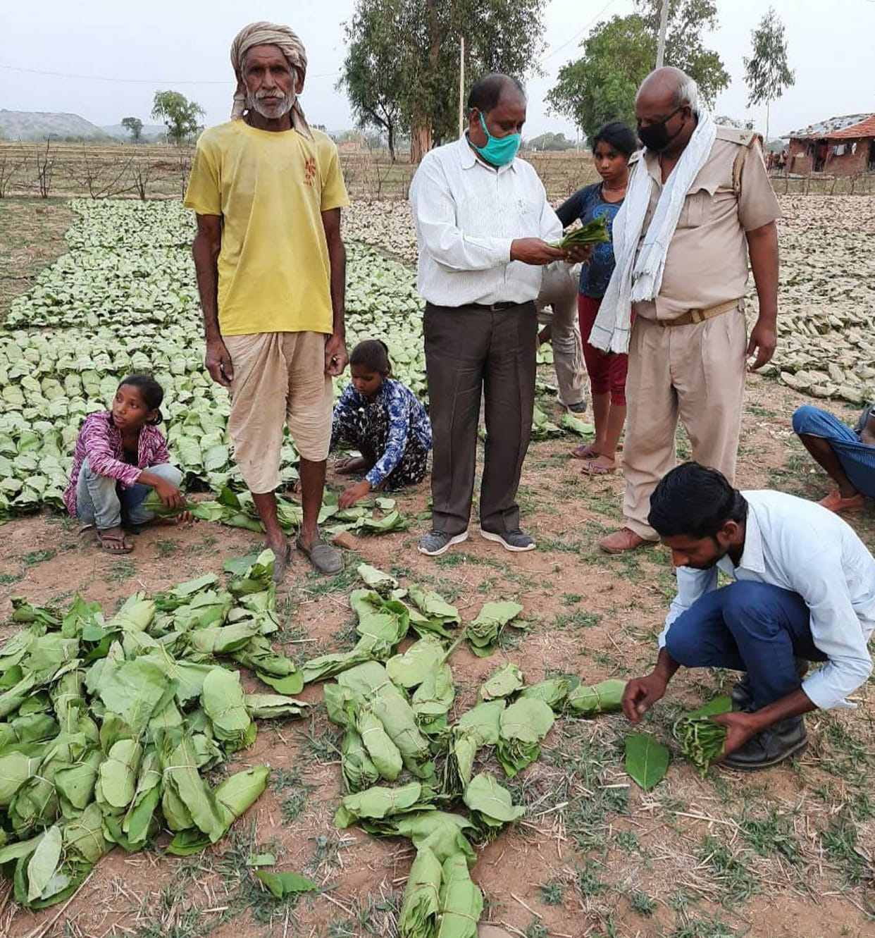 Corona, then 'scorched' Tendu Leaf due to weather