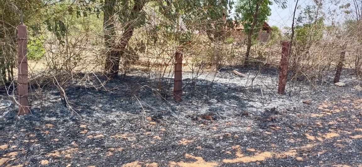 fire in garden by electric spark