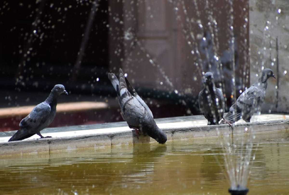 delhi ncr weather update heat likely to break all its record today no relief till 28 may after that some relief