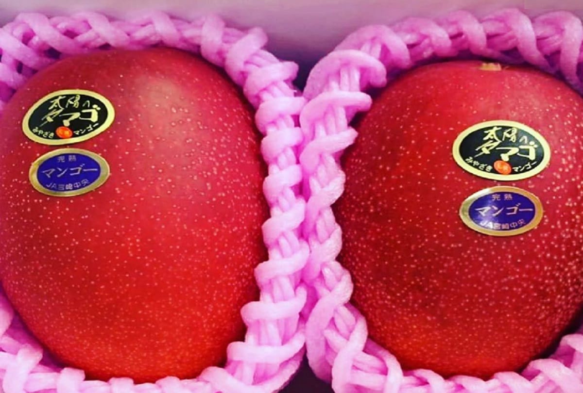 The five most expensive fruits in the world
