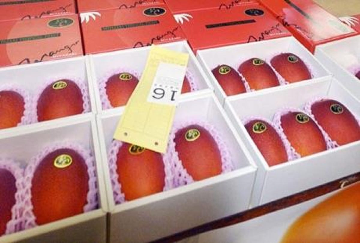 Worlds most expensive mango Taiyo no Tamago which means Egg of the Sun prices above 3 lakh a kilo