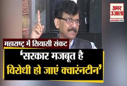 Maharashtra: Sharad Pawar and Uddhav Thackeray meet, Sanjay Raut said - Government strong