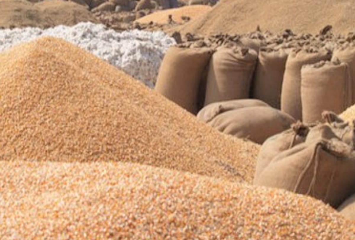 Wheat will be sold in Himachal for Rs 2015, know the purchase price of other crops