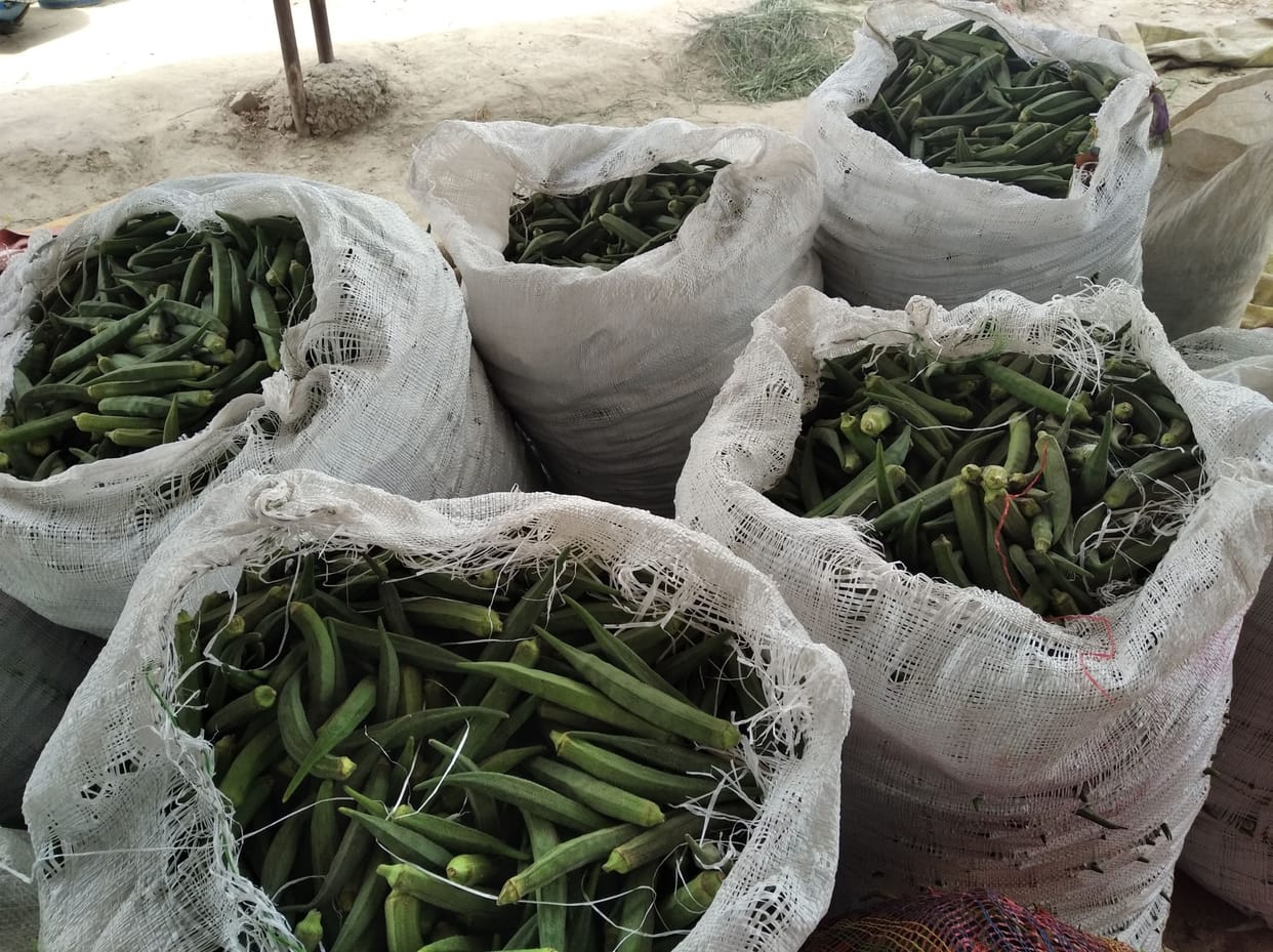 Farmers worried over falling prices of green vegetables