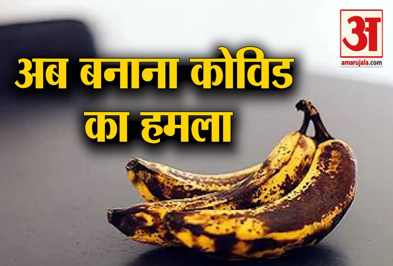 बनाना कोविड