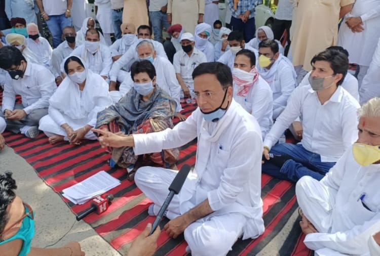 Peddy Farming Ban in Haryana, Kumari Seilja and Randeep Surjewala Protest Against Government
