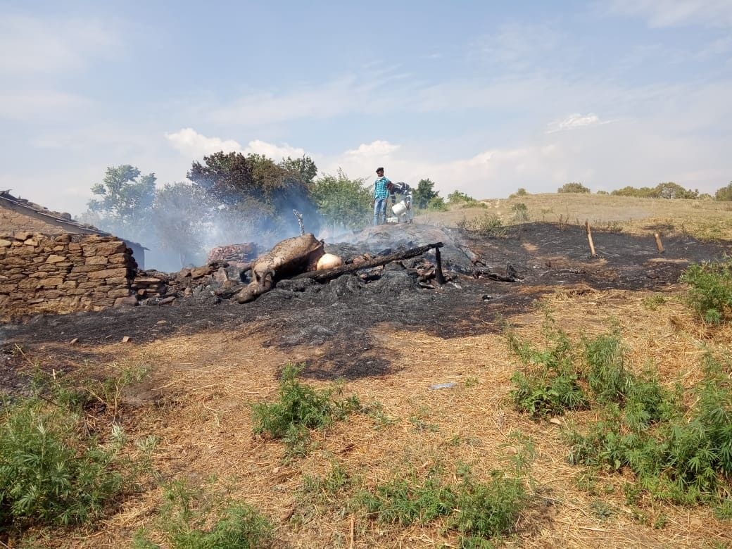Fire in Goshale, two cattle burnt alive