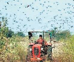 locust theat persists open control room