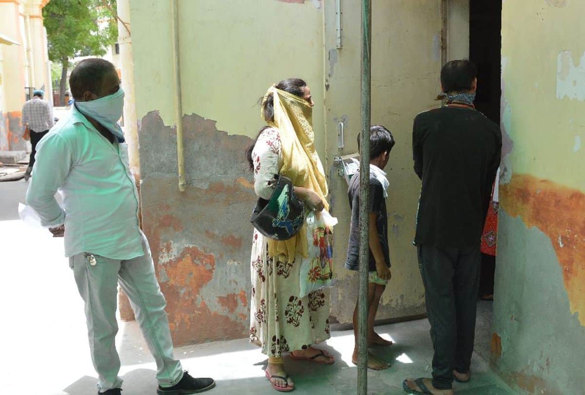 Negligence in keeping a dog and a cat will take a toll on health