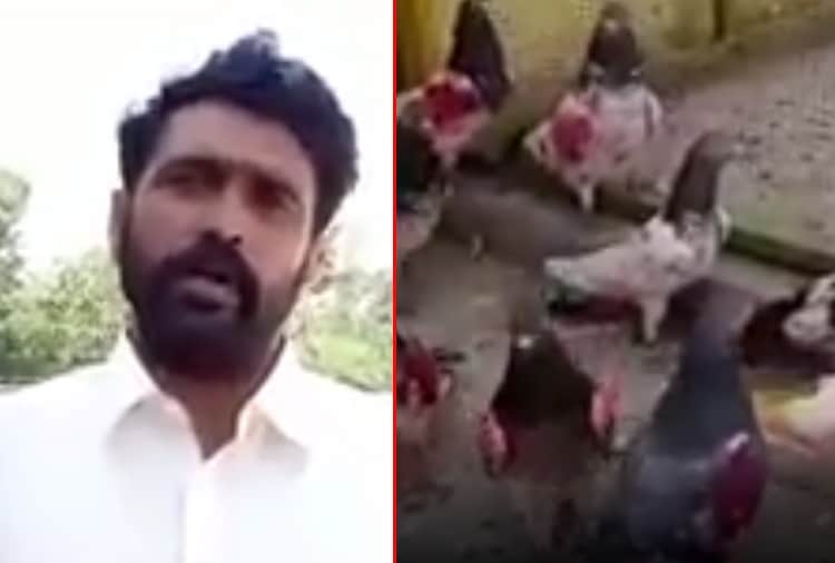 A Pakistani urges to PM Modi to return back his Pigeon